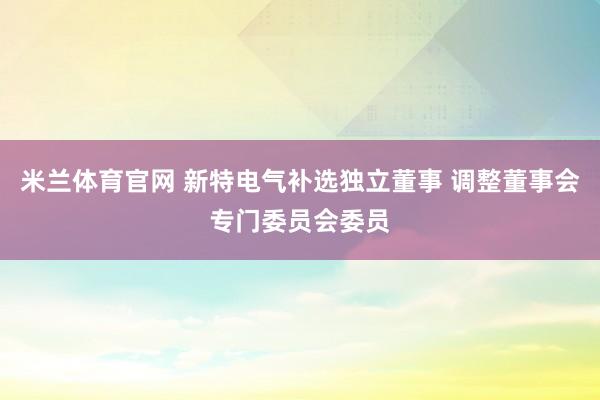 米兰体育官网 新特电气补选独立董事 调整董事会专门委员会委员