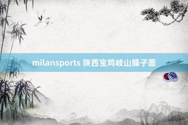 milansports 陕西宝鸡岐山臊子面