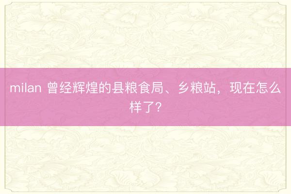 milan 曾经辉煌的县粮食局、乡粮站，现在怎么样了？