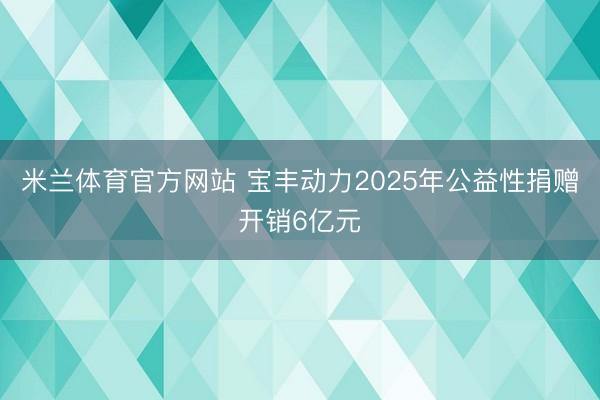 米兰体育官方网站 宝丰动力2025年公益性捐赠开销6亿元